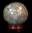 Colorful Petrified Wood Sphere #36972-1